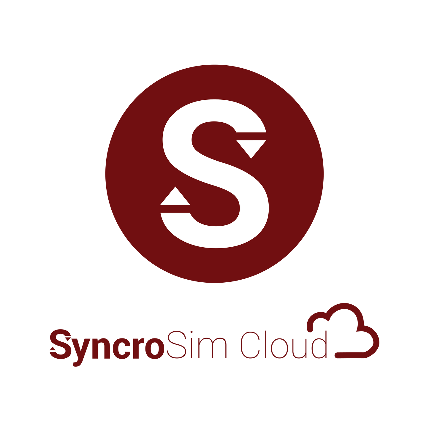 SyncroSim Cloud - Professional